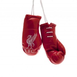 Mini boxovací rukavice Liverpool FC (typ 21)