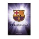 Miniplakát Barcelona FC (typ 136)